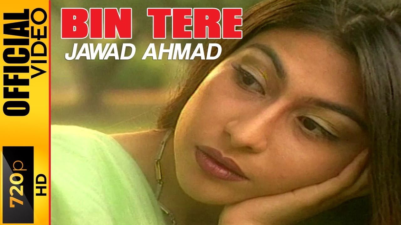 Bin Tere Kiya Hai Jeena – Jawad Ahmad | Official Punjabi Song Video