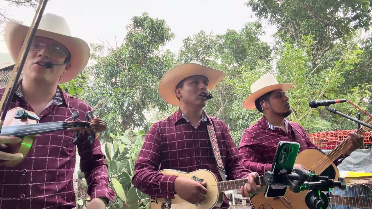 Aguanta Corazón - Trío Dinastía Tamaulipeca (En Vivo) 
