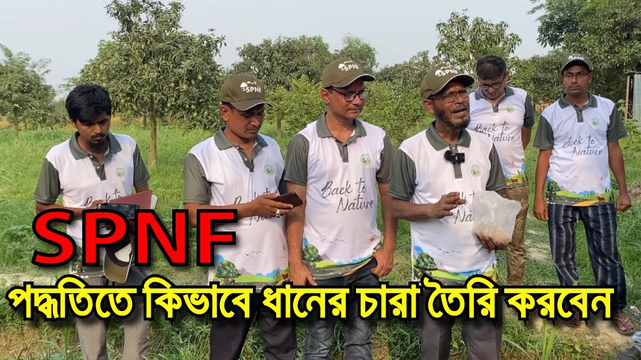 সহজে কিভাবে ধানের বীজ থেকে চারা করবেন || SPNF || রাসায়নিক সার ও কীটনাশক ছাড়া চাষাবাদ