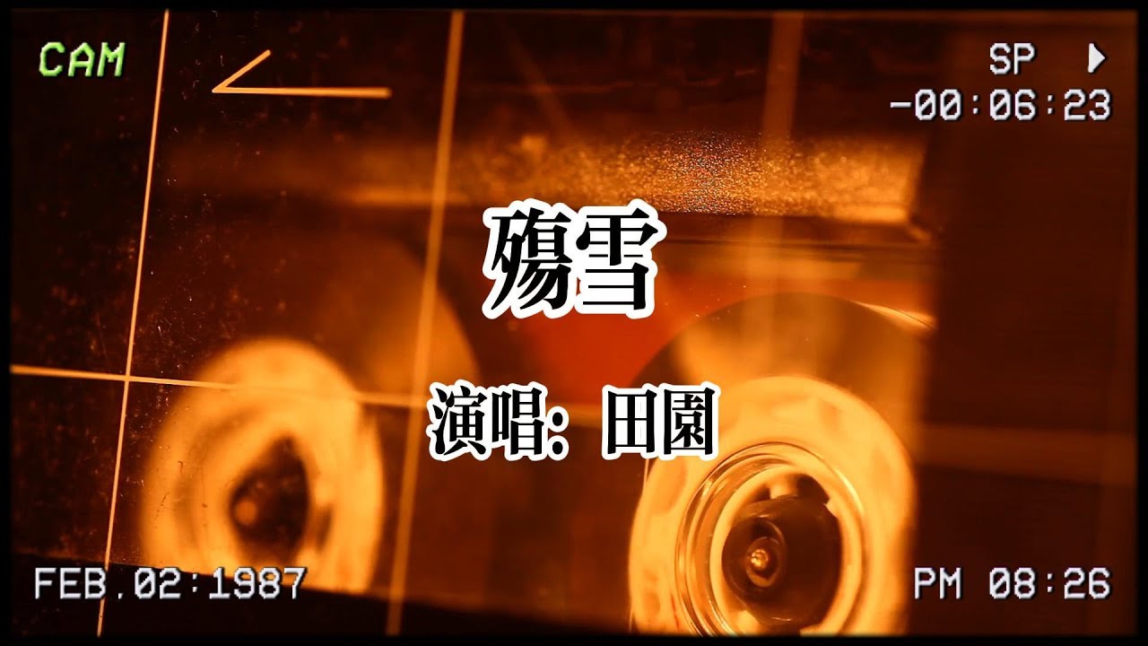 田園《殤雪》：每當雪花紛紛飄落，念你是我最痛的牽絆💔