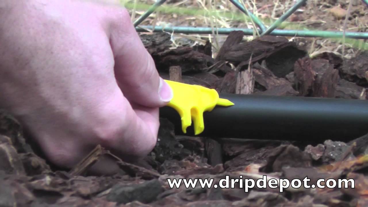 How to Use a Key Punch to Punch Holes in Drip Irrigation Tubing