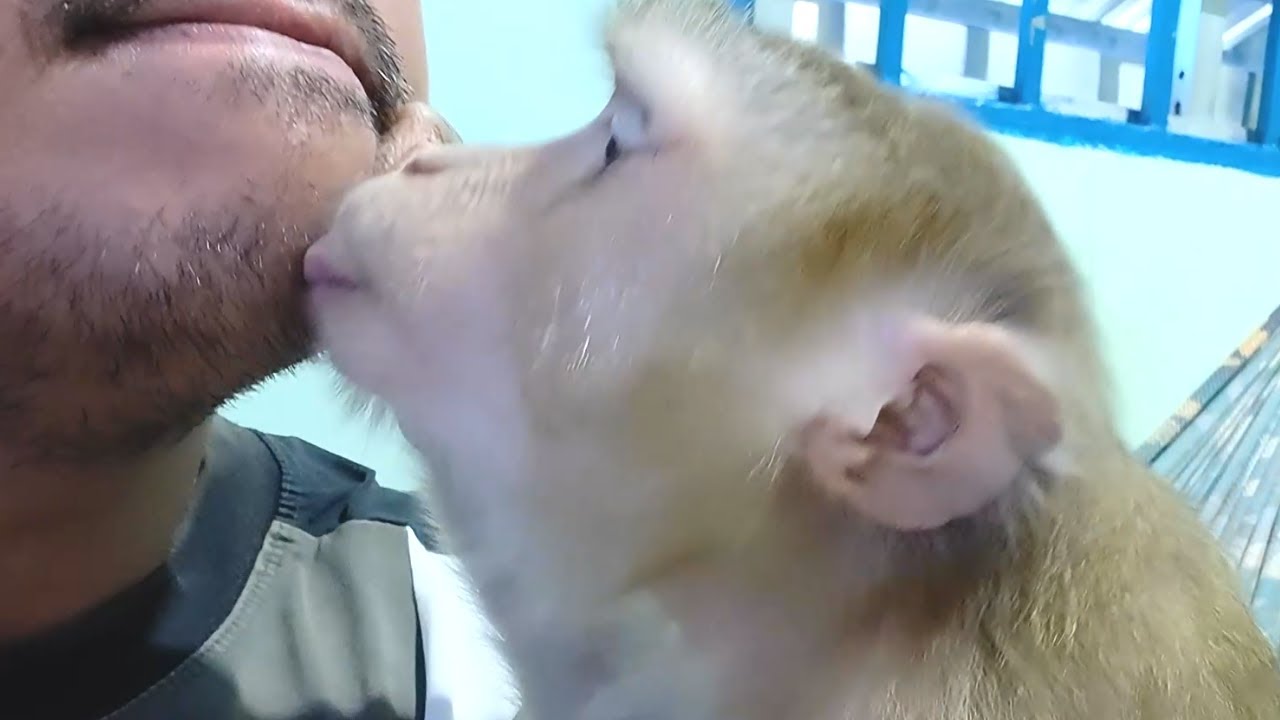 LYLY Expresses A Deep Missing Daddy Grooming By Soft Vocal Sound [ASMR]