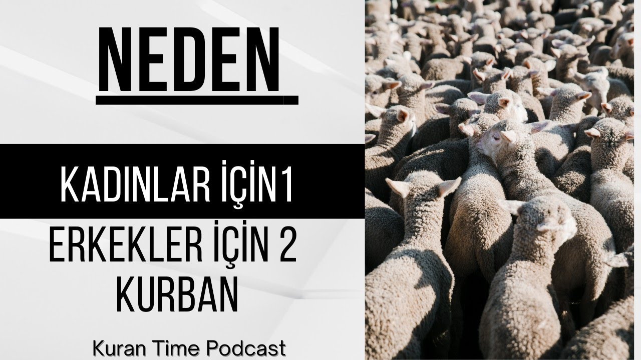 Akika Kurbanı niçin erkek çocuklarına iki, kız çocuklarına bir tane kesilir? | Sorulara Yanıtlar 2