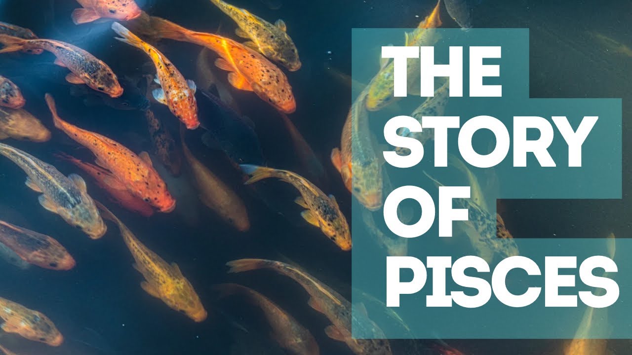 The Shocking History of #Pisces ♓️📖