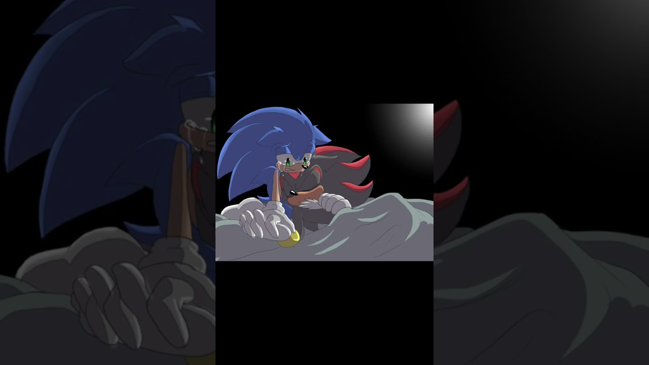 SONIC  -  SEARCH INSIDE (SONIC CRYING FOR SHADOW)