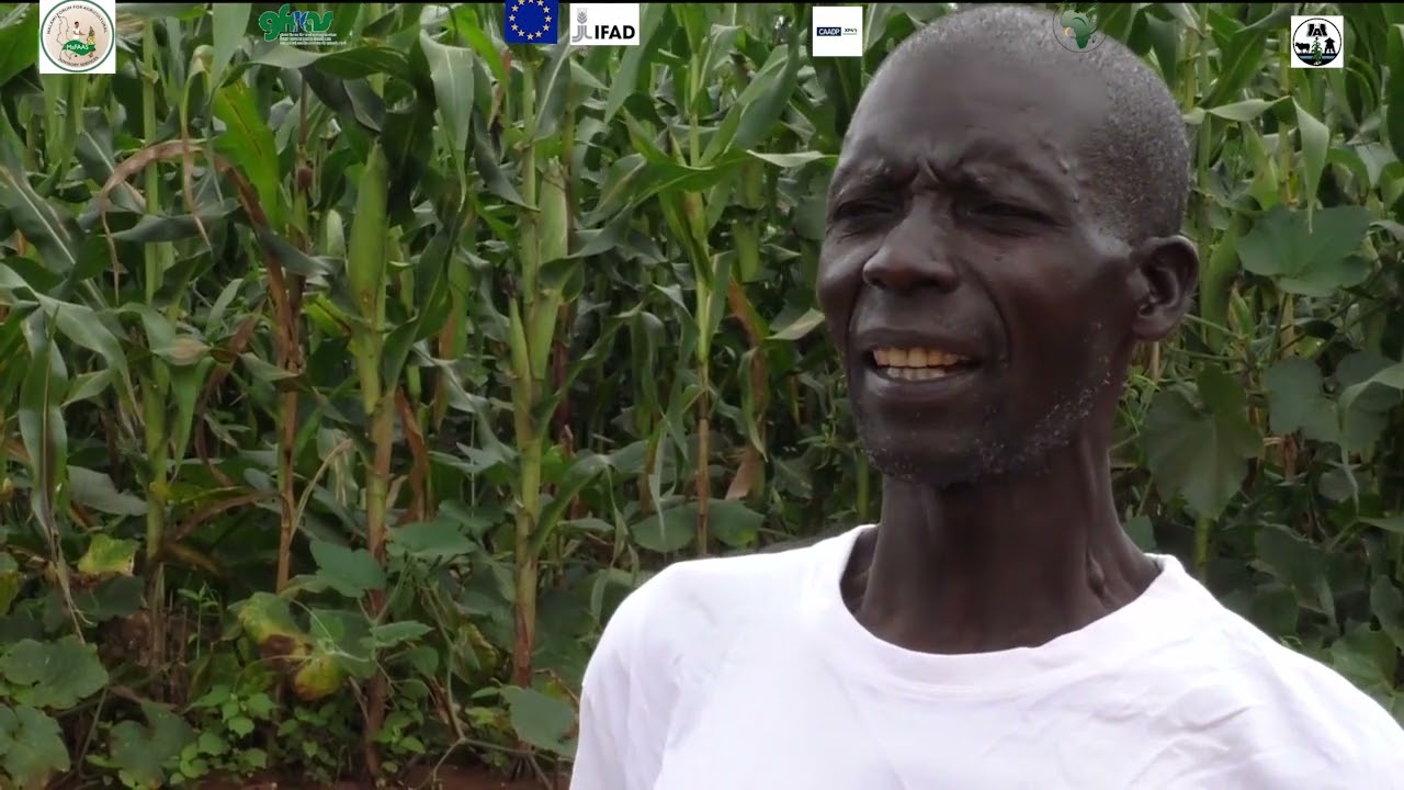 Increasing crop yields using Deep Bed Farming Method farmer video
