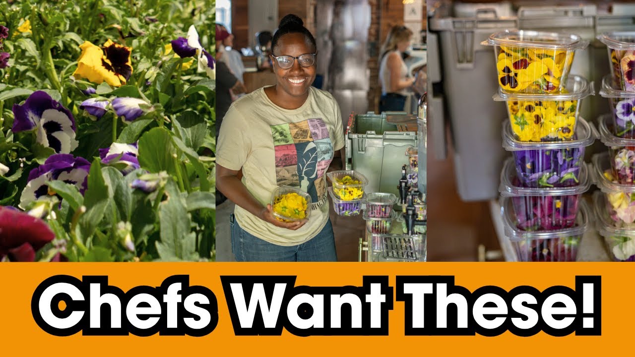 Growing Edible Flowers for Chefs