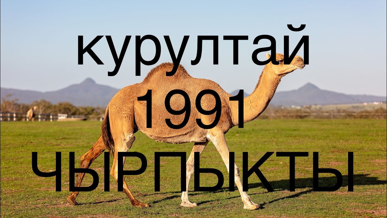 чырпыкты айылы 1991!!! КУРУЛТАЙ!!!