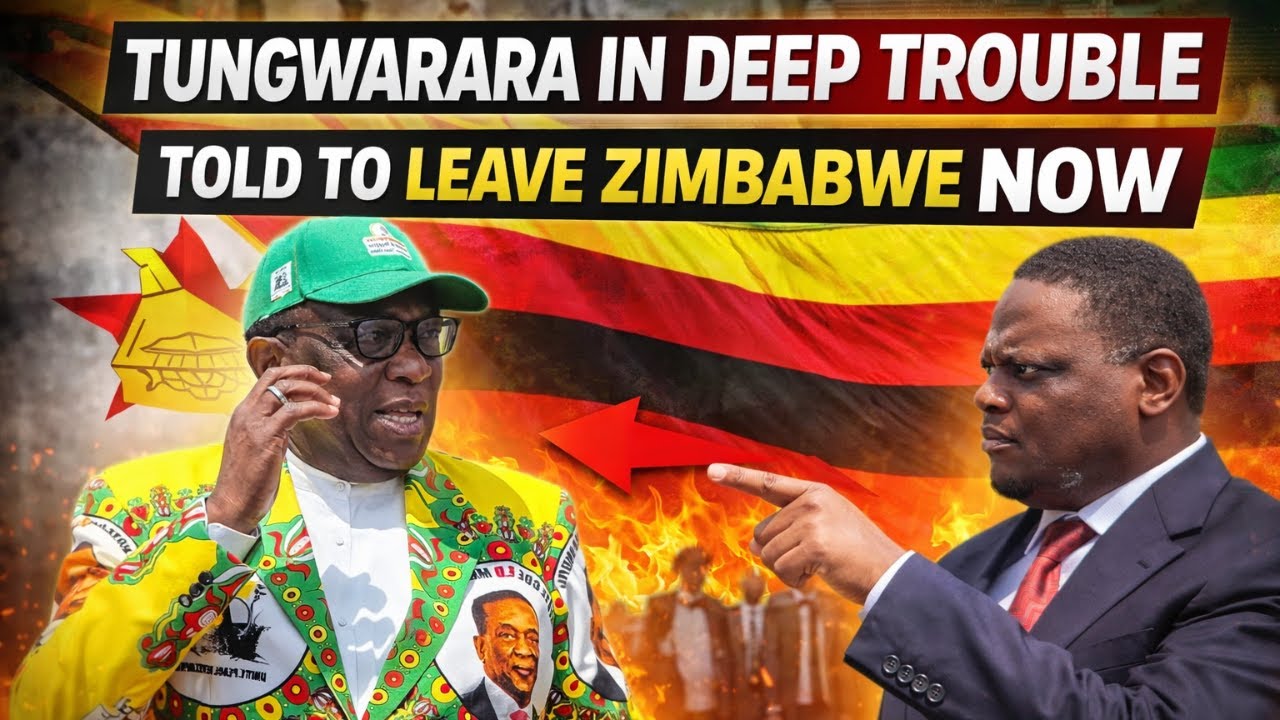 TUNGWARARA FACES ARREST, TOLD TO LEAVE ZIMBABWE OR FACE HUMILIATION  | MNANGAGWA MAKING MOVES