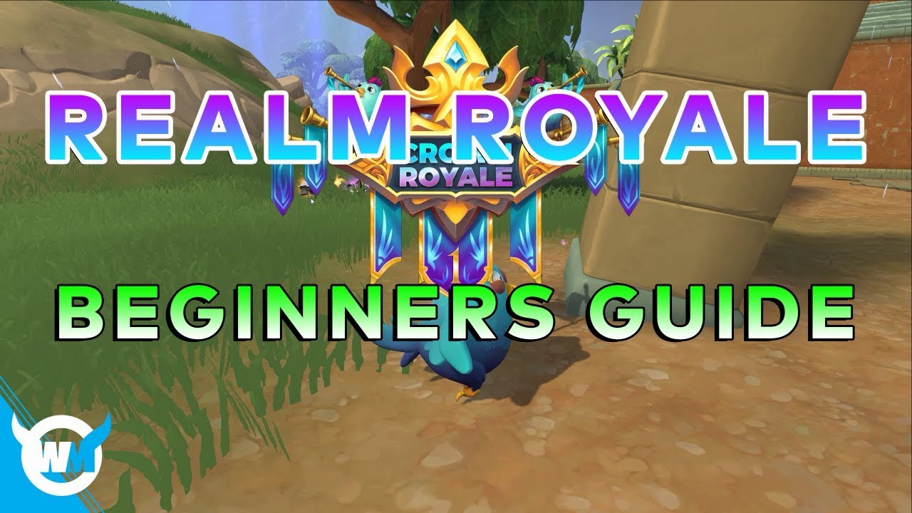BEGINNERS GUIDE - REALM ROYALE GAMEPLAY TIPS AND TRICKS