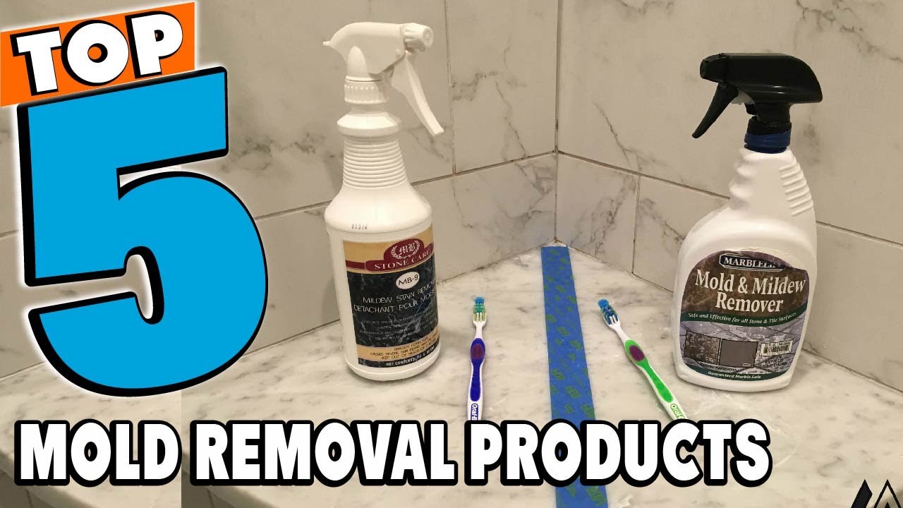 Best Mold Removal Products of 2026 | Mold Removal Products Buying Guide (Top 5)