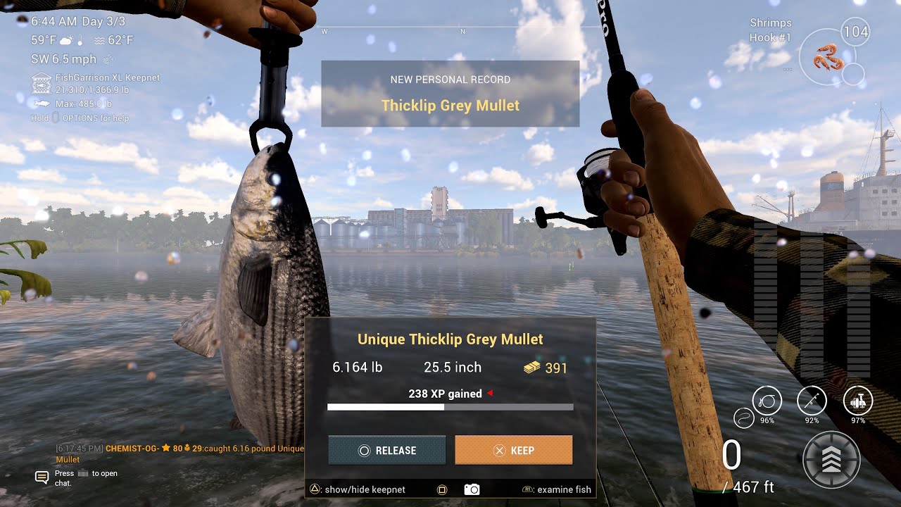Unique Thicklip Grey Mullet Hotspots And Bait Guide - Ghent Terneuzen Canal - Fishing Planet