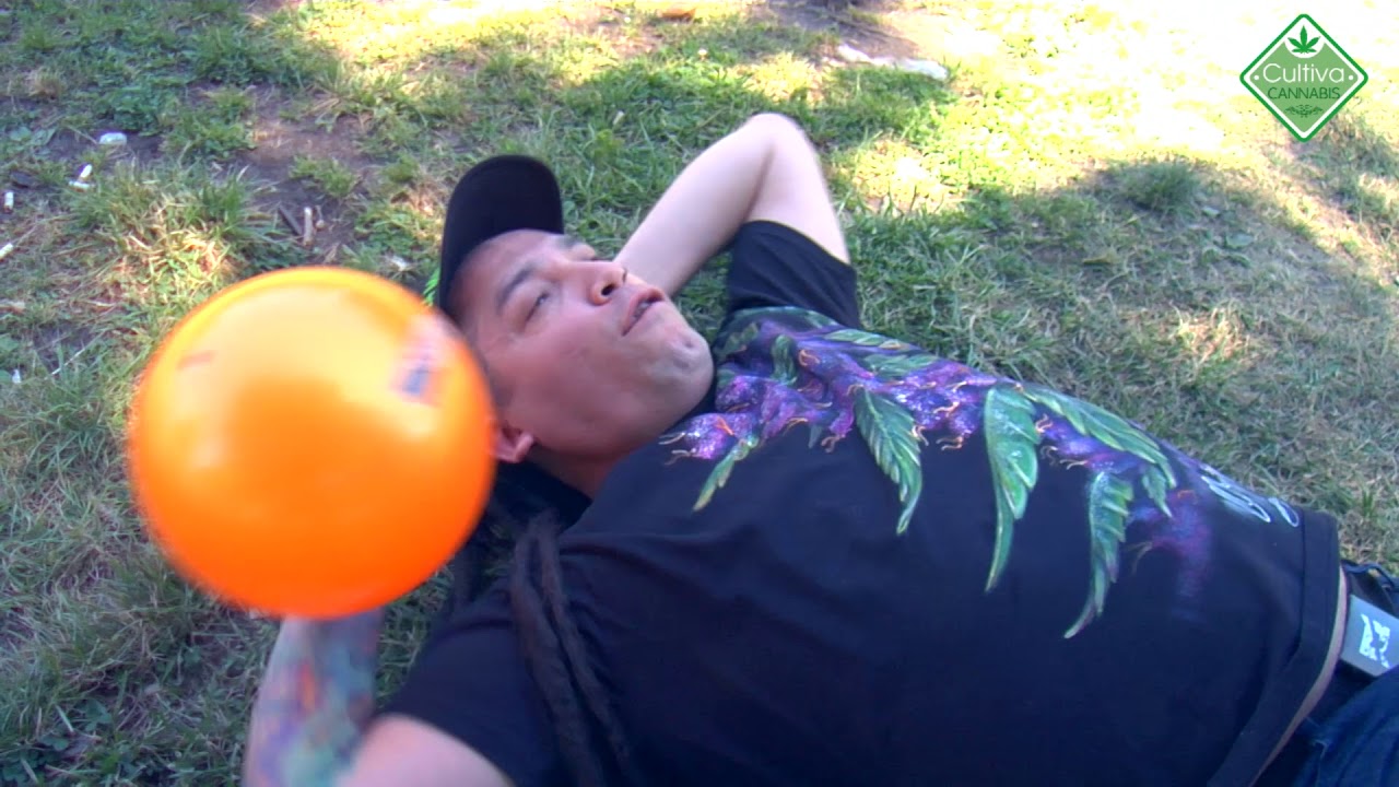 EL CEBOLLA / EL VOLAO EN EL PARQUE