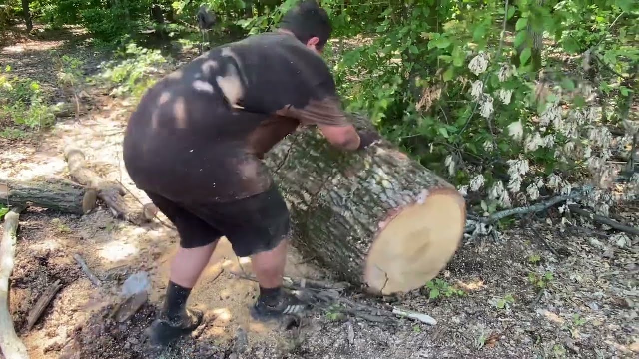 Stihl ms 361 cutting small pieces of wood 🪵🪚🪚🪚🔥🔥🔥