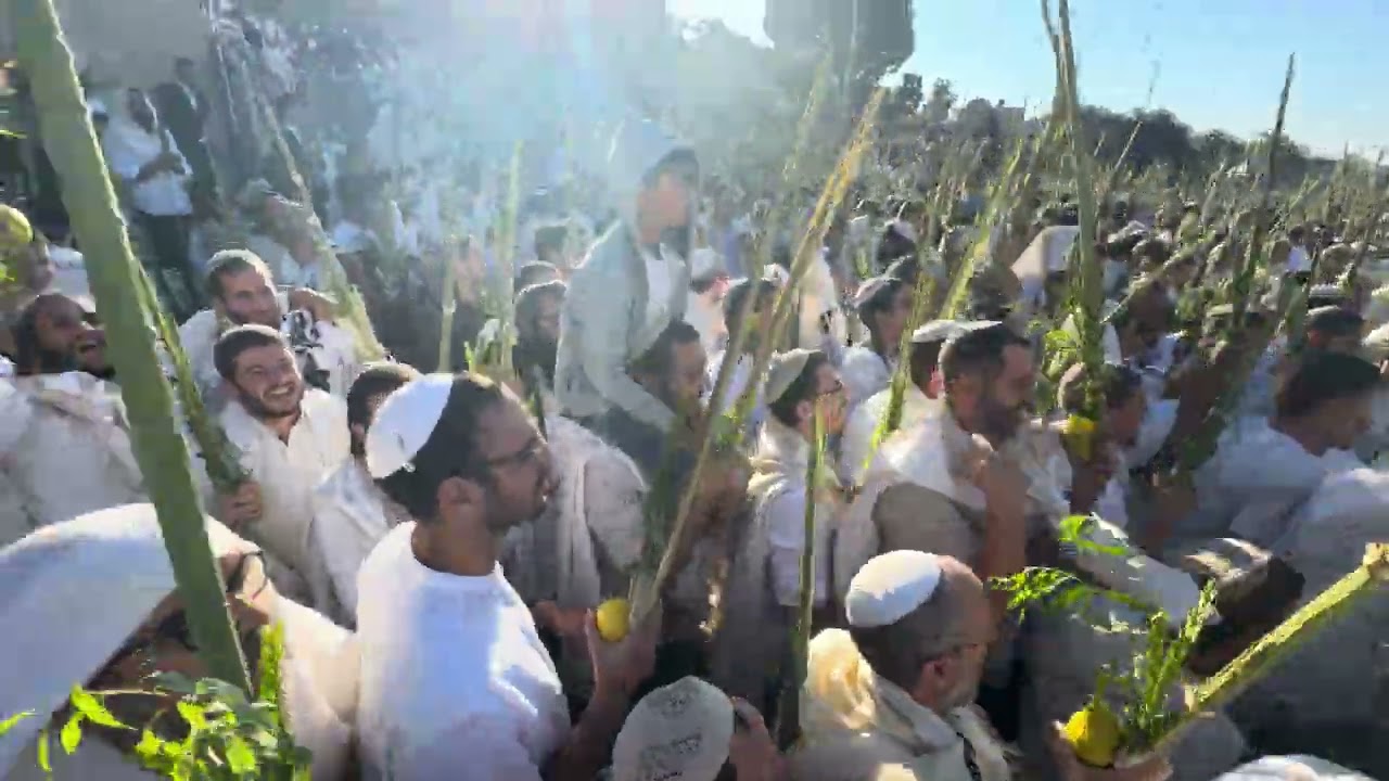 תפילת הלל בשירה ובשמחה בחברון | הרב שמואל אליהו הרב אוריאל סייעד | ב׳ חול המועד סוכות תשפ״ו #סוכות 