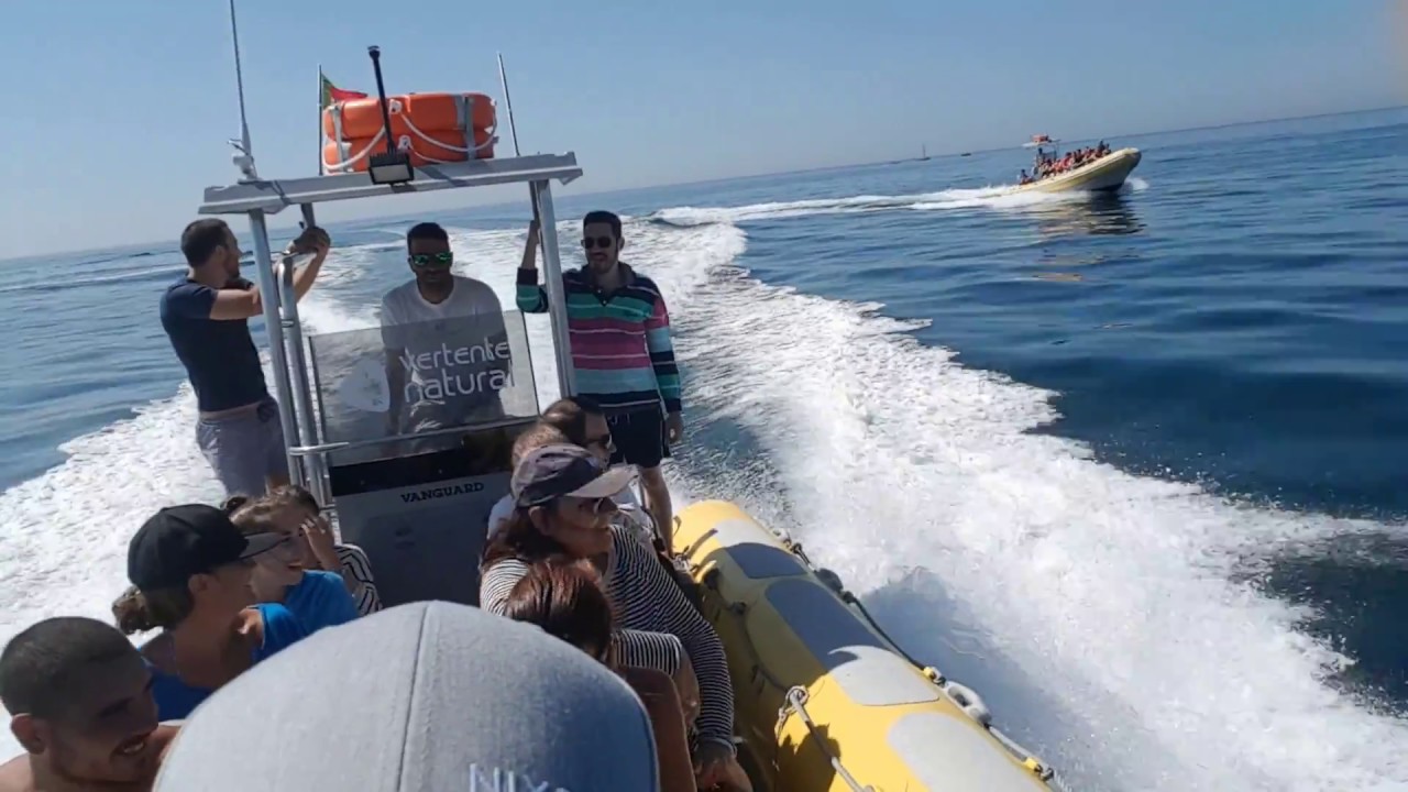 Sesimbra  2018 - Vertente Natural (Passeio dos Golfinhos)