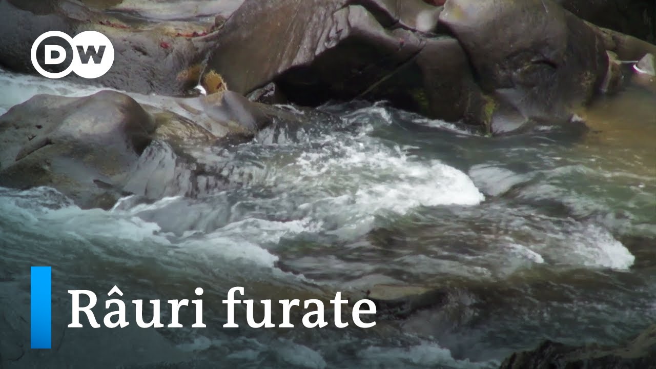Râuri furate - O catastrofă ecologică în România