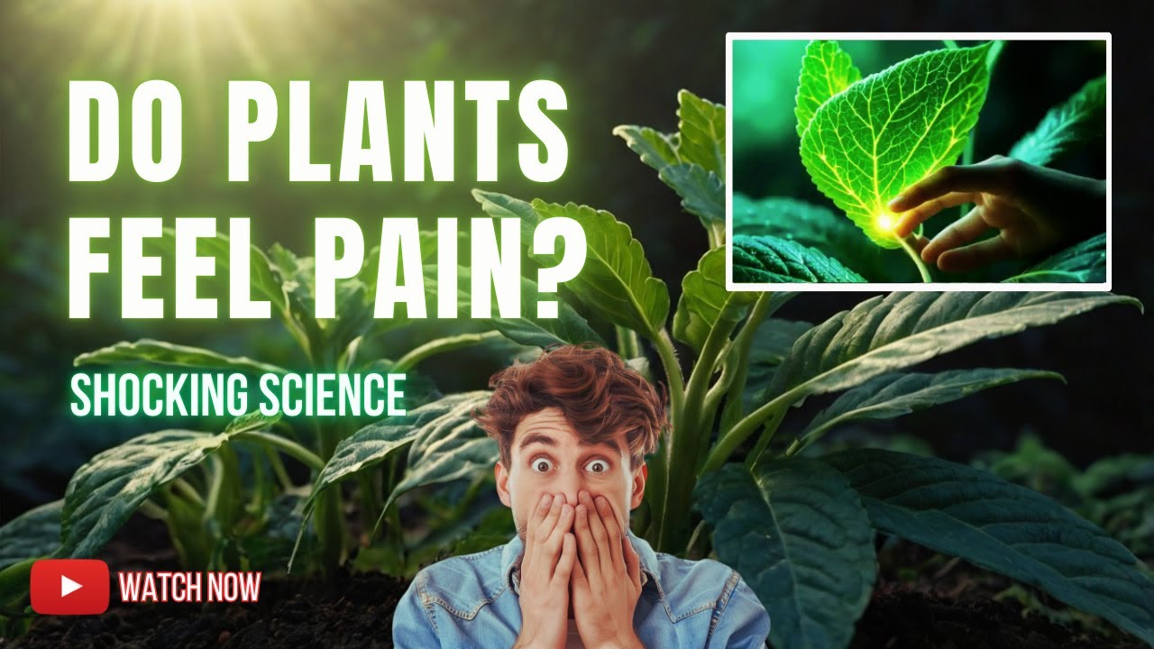 Can Plants Feel Pain? The Shocking Truth About Plant Science!
