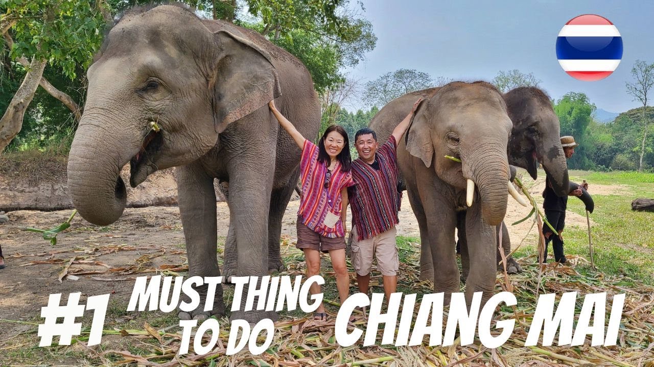 Elephant Jungle Sanctuary!🐘 Best Thing To Do In CHIANG MAI, Thailand 🇹🇭