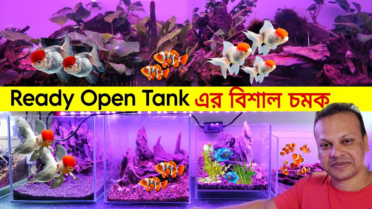 Aquarium Fish Price In Bangladesh 😱 Open Tank Aquarium   price in bd 🔥Fish Aquarium Update Price