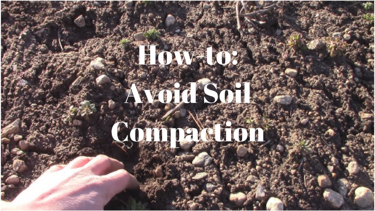 Community Garden Walk:  How to Avoid Soil Compaction