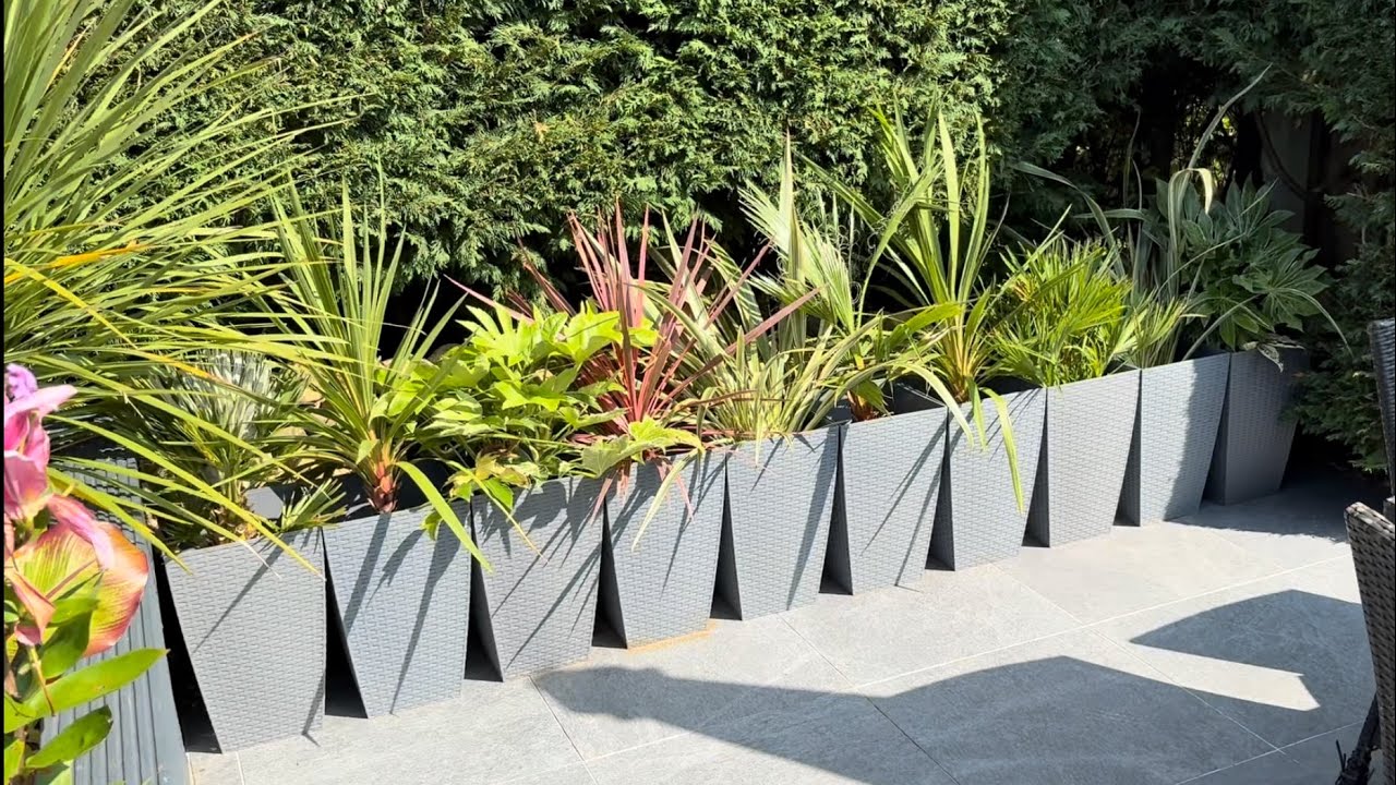 Annual Lancashire, UK Tropical Garden Tour