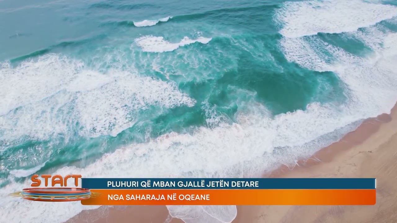 Pluhuri që mban gjallë jetën detare, nga saharaja në oqeane