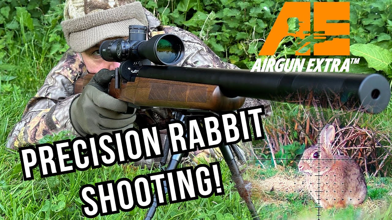 Airgun Extra | Precision rabbit shooting at dusk | Precihole spring airgun review