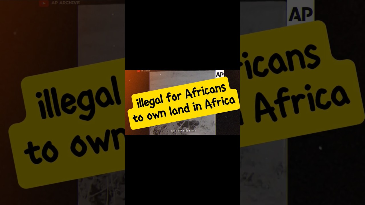 Africans cannot own land in africa. #news #landreform #zimbabwe #land #africa #africanpodcast