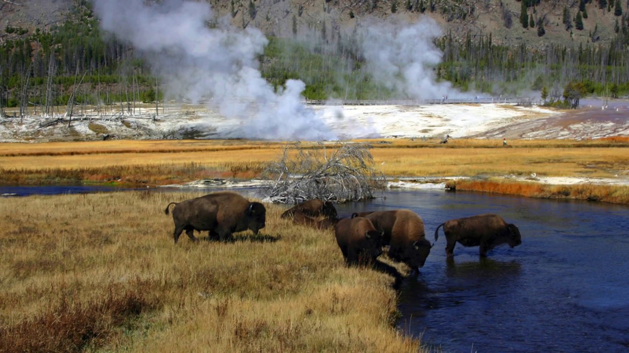 Environmental Reform