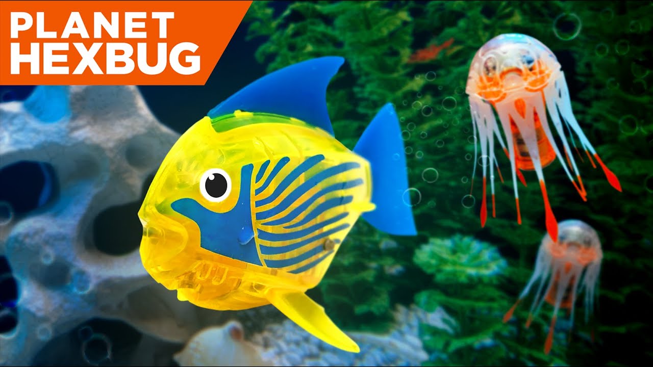 Planet HEXBUG - Episode 9: The AquaBots