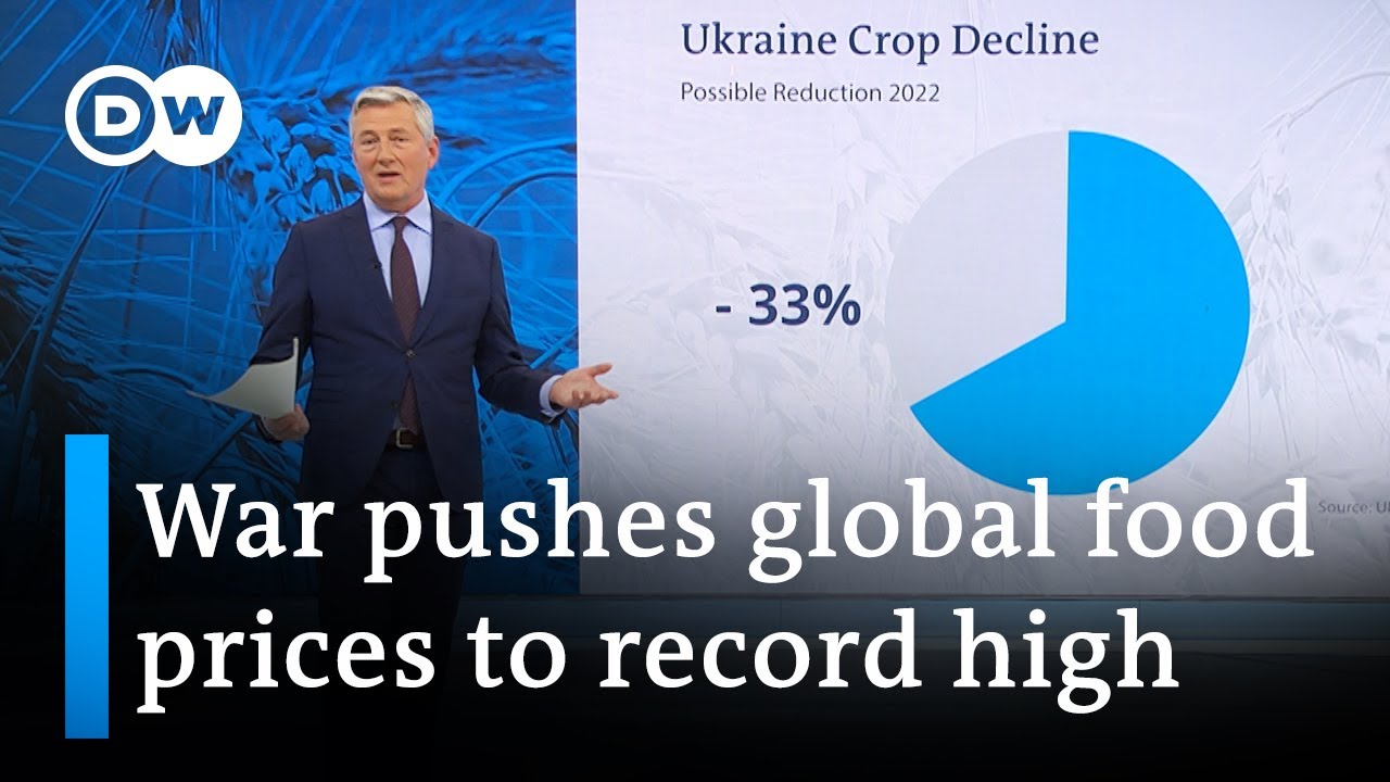 War in Ukraine is impacting global food security | DW News