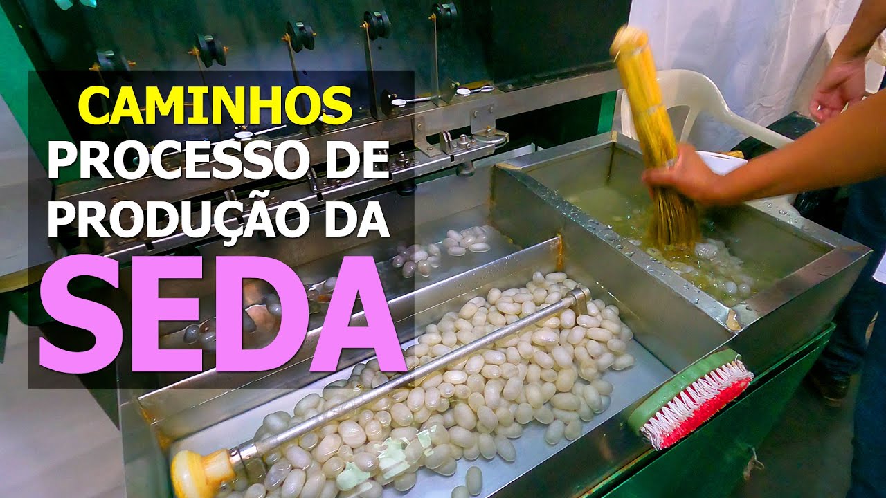 PROCESSO DE PRODU&Ccedil;&Atilde;O DE SEDA - BICHO-DA-SEDA - DEMONSTRA&Ccedil;&Atilde;O DID&Aacute;TICA NA EXPO JAP&Atilde;O LONDRINA
