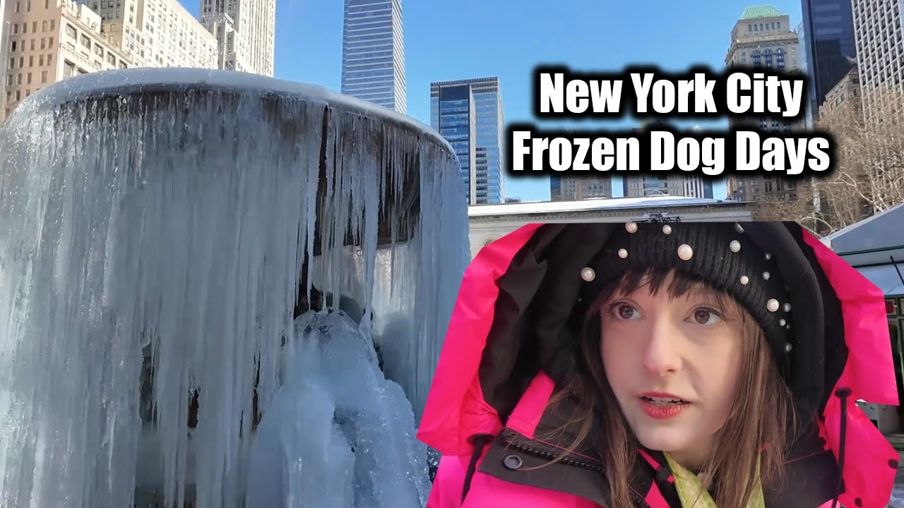 ✨Live✨ NYC 🥶 Frozen & going to the Dogs!!!! 🥶😡 #cold #nyc #live