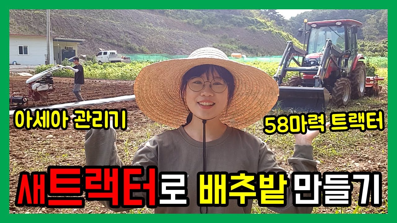 7년 대출 받아서 구입한 58마력 새 트랙터로 배추밭 만들기 / 김장용 배추와 무 심기