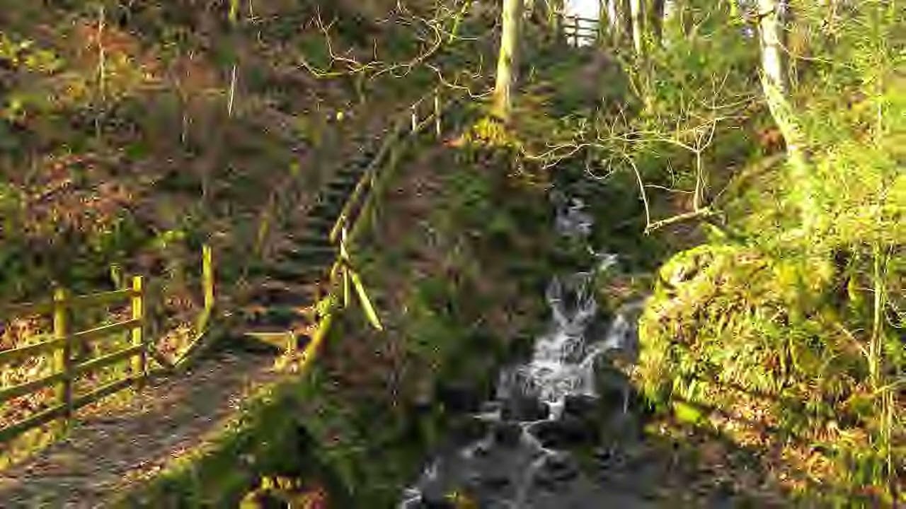 Small Waterfall - 1080P Jpeg 2000 MXF OP1a Level 0 (under 20 Mbps)