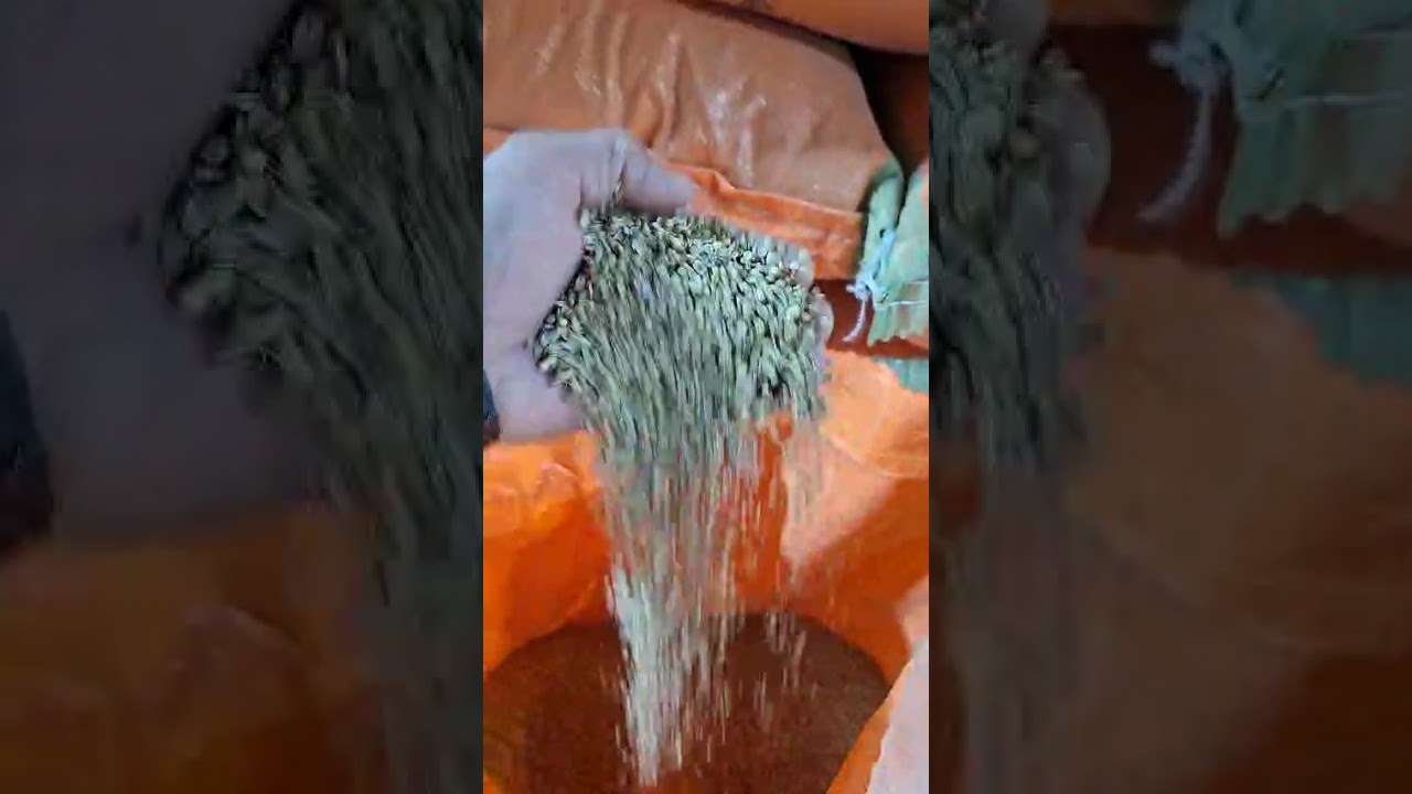 عروض 5-2-2026 سلطنة عمان