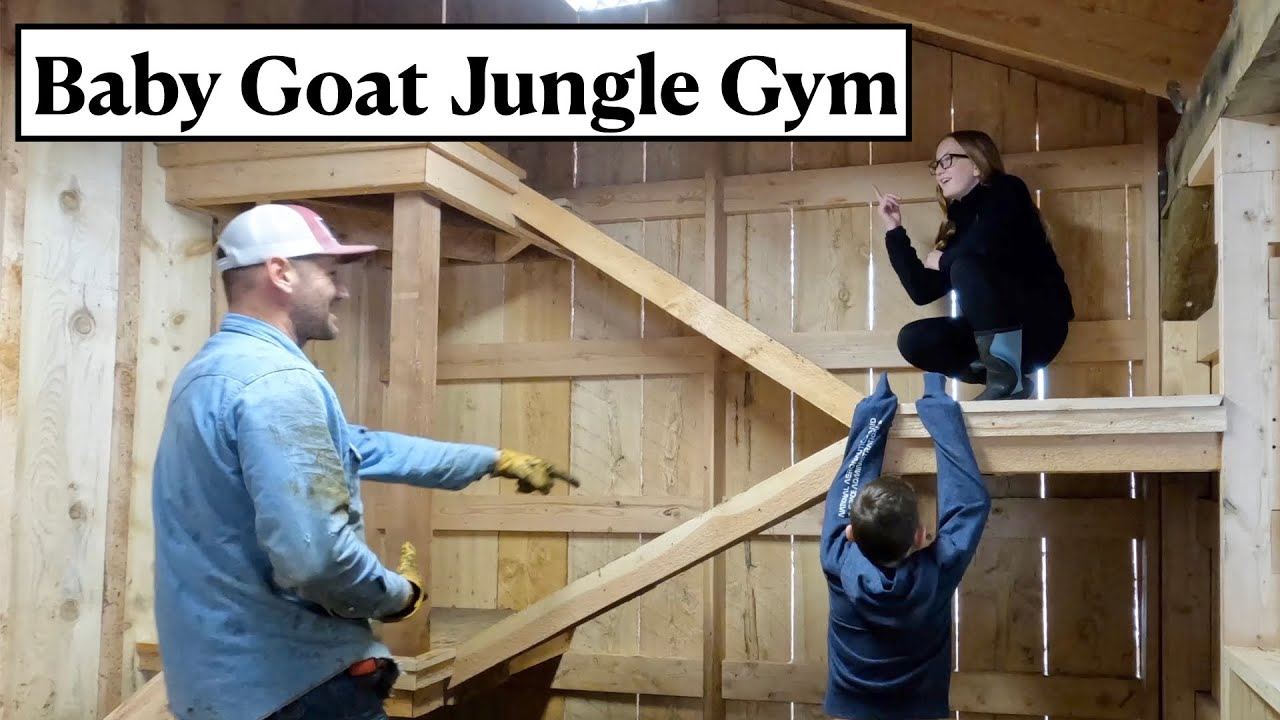 #569 - Built A Jungle Gym For 13 Baby Goats!