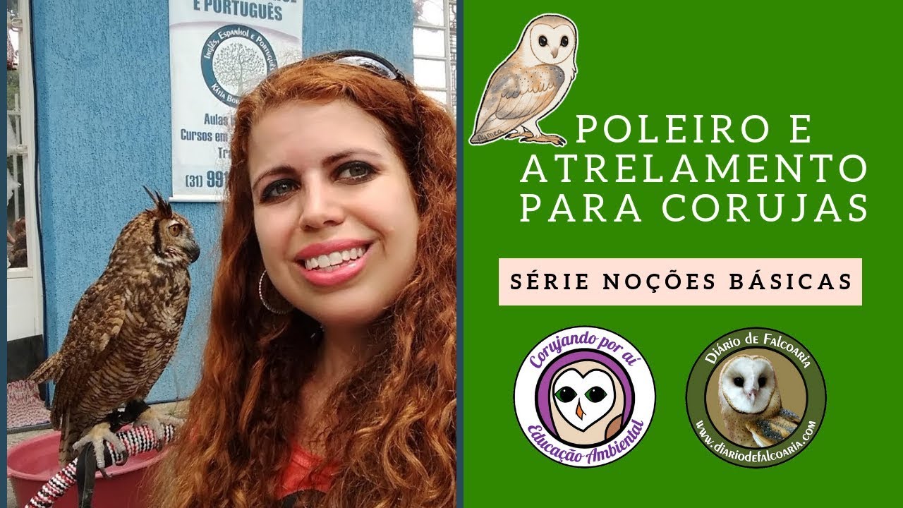 Corujas: Atrelamento e poleiro em arco