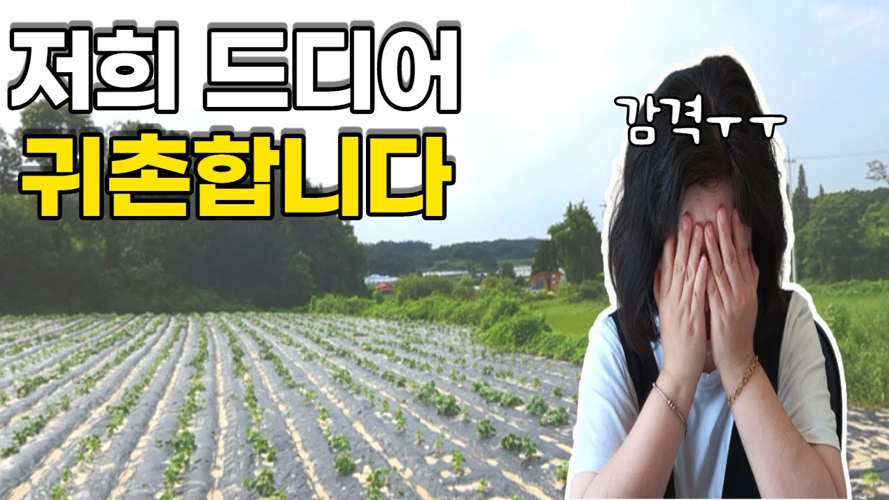 귀농귀촌합니다 / 왜 땅이어야 할까 / 여주로 정착합니다