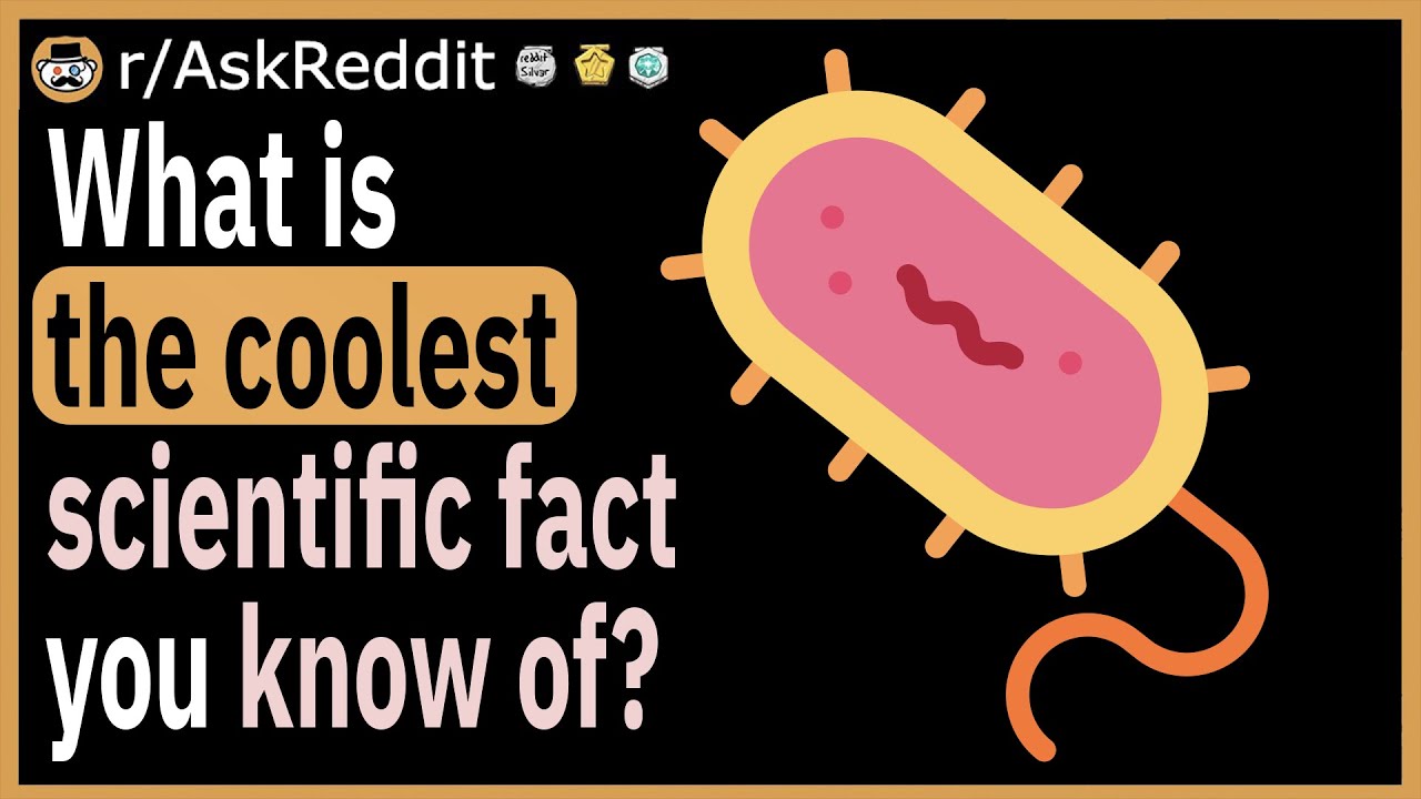 What is the coolest scientific fact you know of?