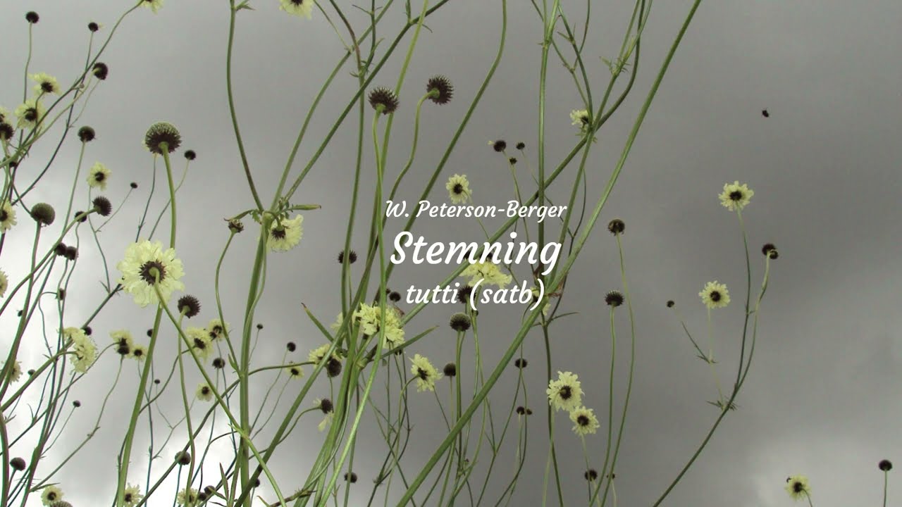 Stemning, W. Peterson-Berger, tutti (all voices: satb), rehearsal track