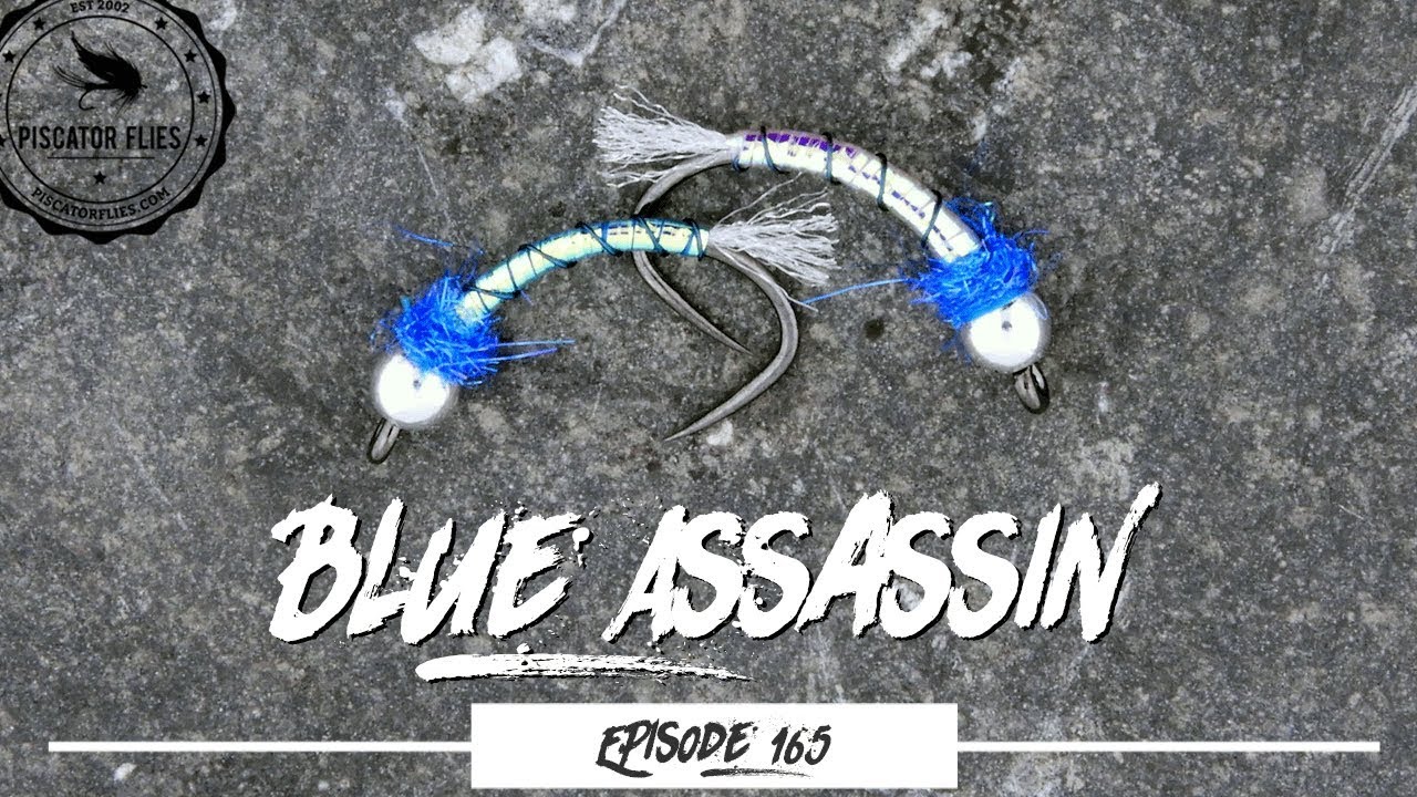Вязание мушки Blue Assassin для ловли форели - Эпизод 165 PF #PiscatorFlies