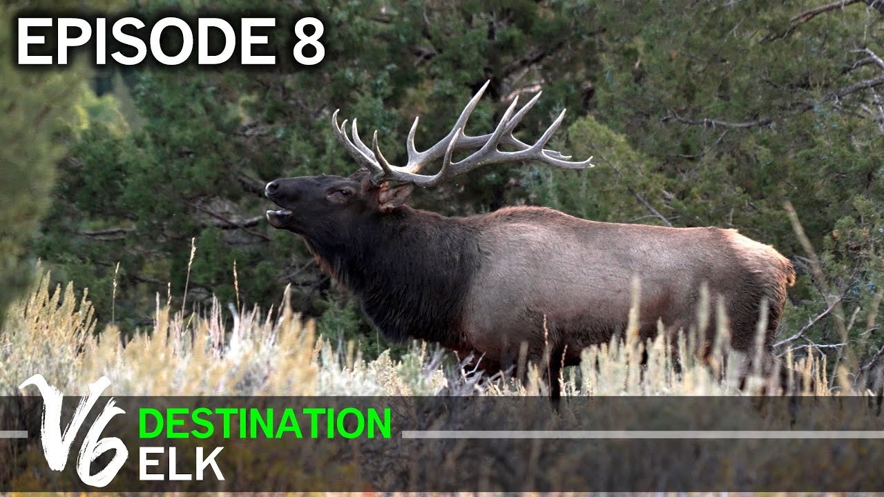 Счастливая подкова - Эпизод 8 (Destination Elk V6)