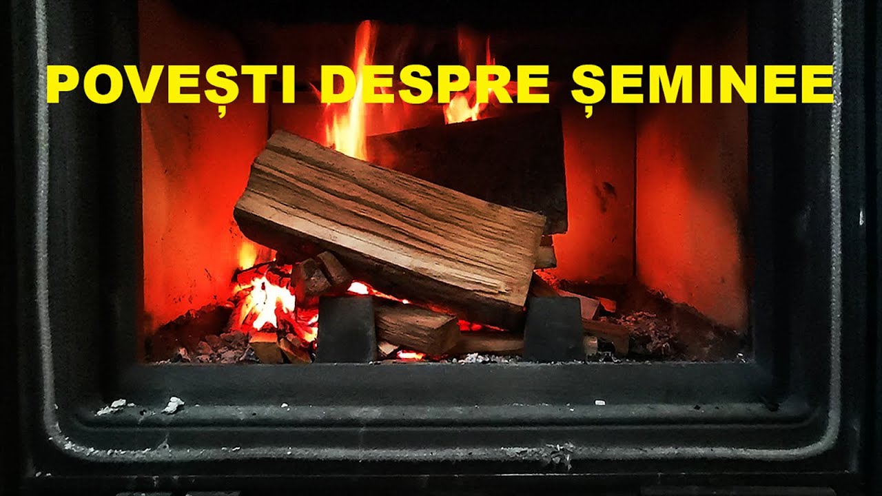 POVESTI DESPRE SEMINEE