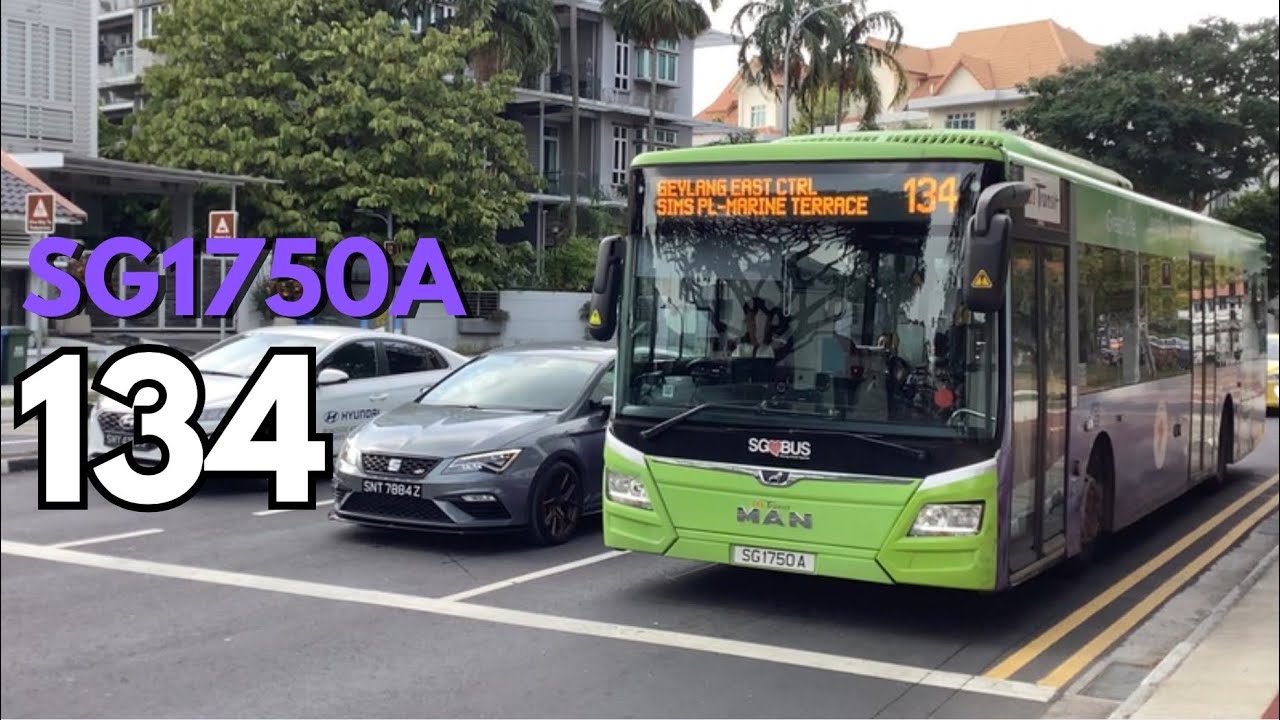 [SBST] (Full Body Ad) 🟢 SG1750A on 134