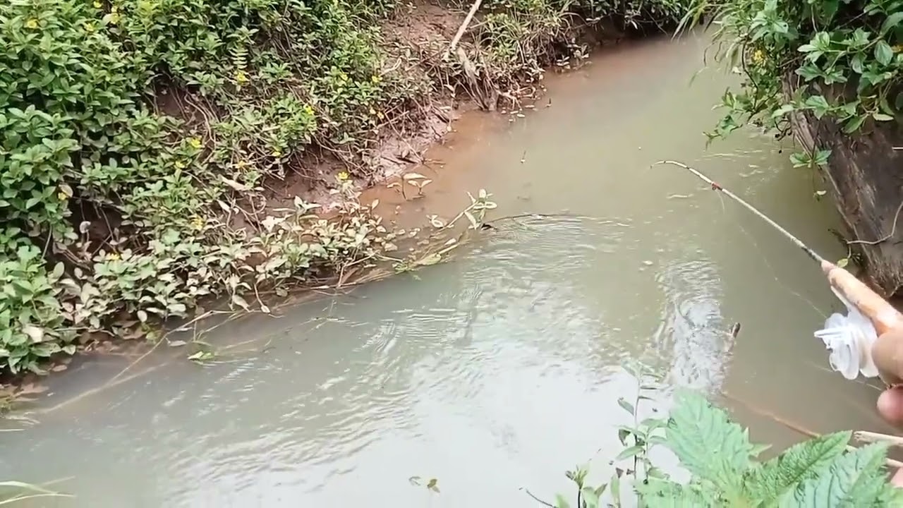 Walowpun Spot Nya Kcil Tapi masih bisa Poin