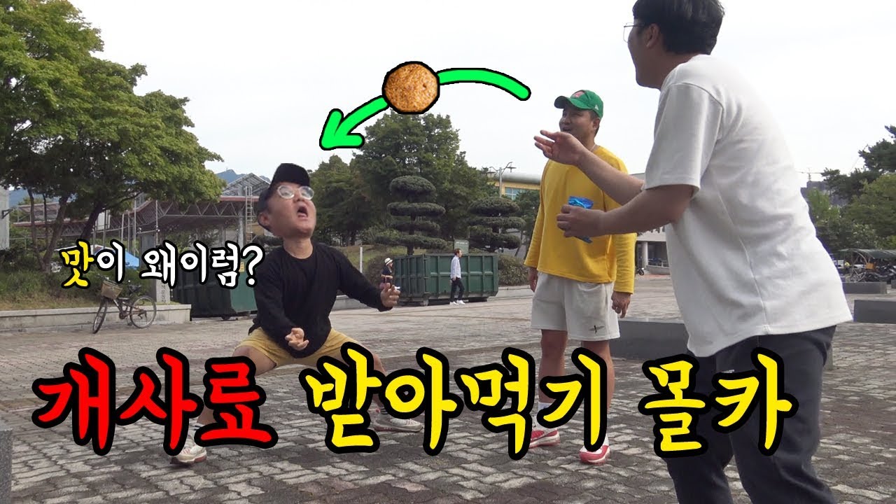 ENG)(몰카) 과자인척 개사료 먹이기 몰래카메라 ㅋㅋㅋㅋ 반응 개웃김 ㅋㅋㅋ (하오tv,배꼽빌라,김그라,감동빈)