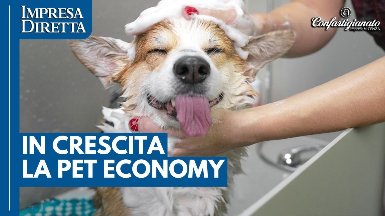Cresce la pet economy: testimonianze di mestieri legati agli animali da compagnia