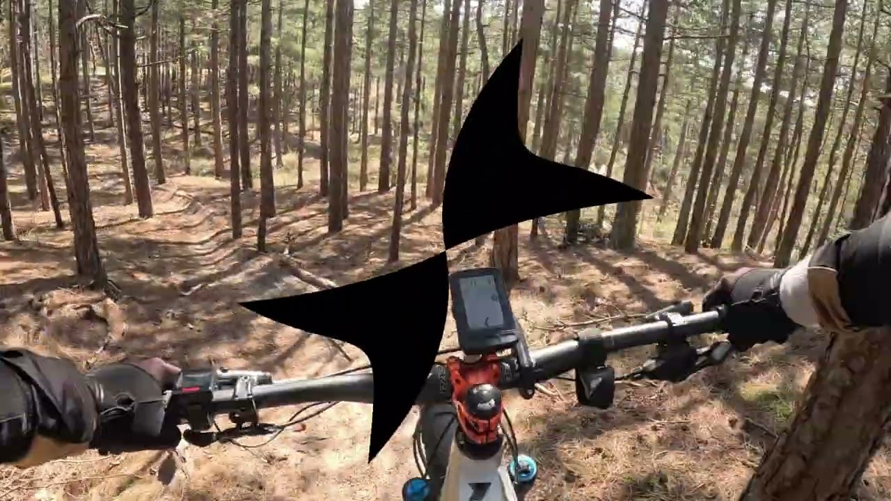 Schoorlse Duinen S2 Trails E-MTB Abenteuer Nordholland